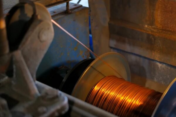 large.jpg